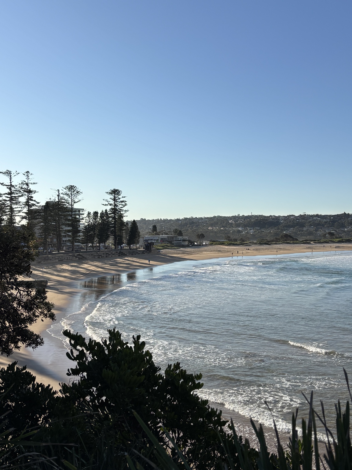 Dee Why Beach and Surf Life Saving Club